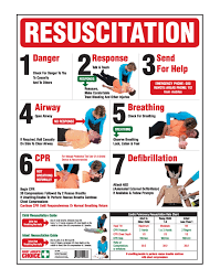Cpr Wall Chart