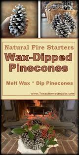 Wax Dipped Pinecone Fire Starters