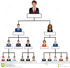 Organization Corporate Chart Company People Stock Vector