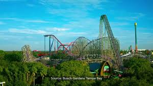 busch gardens ta bay wftv