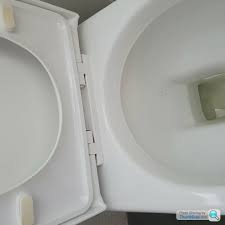 Help With Weird Toilet Seat Removal