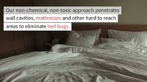 bed bugs prefer wood or metal beds