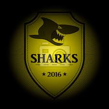 sharks sports logo the emblem