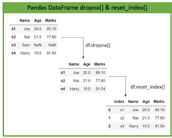 reset index in pandas dataframe