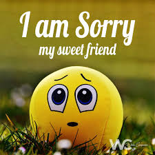 sorry messages for best friend