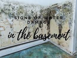 Signs Of Water Damage In Your Basement