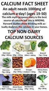 Calcium Rich Foods Non Dairy Calcium Sources Vegan