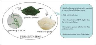 improving water kefir nutritional