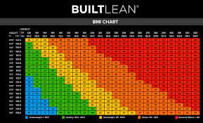 bmi chart for men women is bmi
