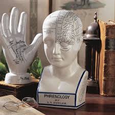 Porcelain Phrenology Head Bust Statue