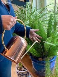 Great Gifts For Gardeners The