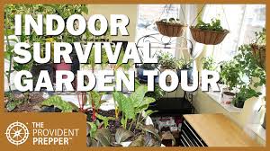 how to grow an indoor survival garden