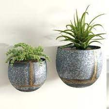 Brass Steel Wall Planters