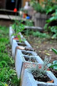 Garden Edging Ideas