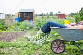 Woman Sitting In Wheelbarrow In Garden