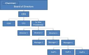Ceo Coo Cfo Hierarchy Related Keywords Suggestions Ceo