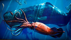 giant squid one of the largest squids