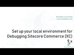 debugging sitecore experience commerce