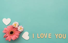 Love heart love flower flower heart love flower heart valentine background symbol shape romantic romance heart shaped red day decoration high definition picture relationship cards baby girlfriend valentine039s boyfriend greeting desire valentine39s day texture of hearts flowers wallpaper. Wallpaper Love Flowers Hearts Love Gerbera I Love You Heart Pink Flowers Spring Gerbera Images For Desktop Section Nastroeniya Download