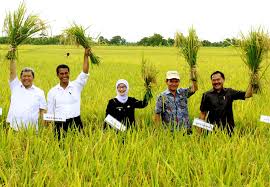 Ajukan pertanyaan tentang tugas sekolahmu. Program Kerja Pemerintah Untuk Meningkatkan Pertanian Berkelanjutan Di Indonesia Kompasiana Com