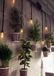 Wall Hanging Plant Decor Ideas