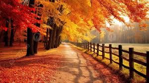 fall background images hd pictures and