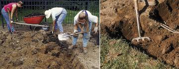 how to improve your clay soil