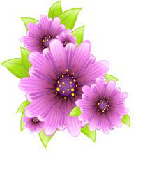 Kwiaty - fioletowe kwiaty - Galeria Laneczki