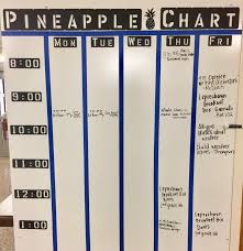 Pineapple Charts Peer Observation That Actually Works
