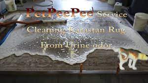 cleaning karastan carpet you