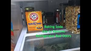 remove refrigerator bad odors