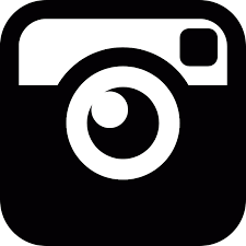 Image result for instagram icons
