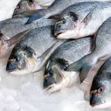 Картинки по запросу recommandations de poisson frais congelé