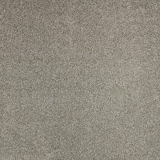 triexta texture installed carpet