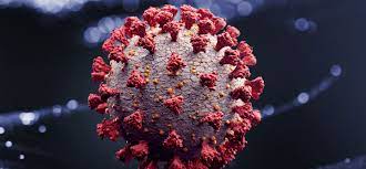 Trivia quizzes are a great way to work out your brain, maybe even learn something new. Covid 19 Quiz Do You Really Know The Facts About Coronavirus Johnson Johnson