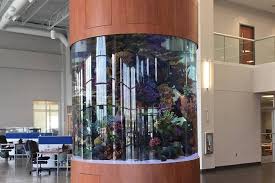 3000 Gallon Cylinder Aquarium - Titan Aquatic Exhibits gambar png