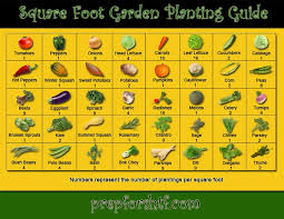 Square Foot Gardening Advice Pa