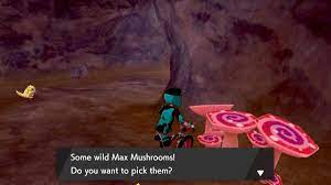 Pokemon Sword and Shield Max Mushrooms Guide - SegmentNext