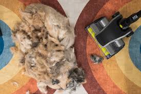 what s the best vacuum for pet hair