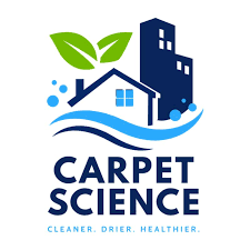 carpet cleaning in