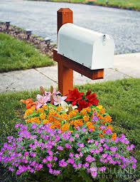 Sunny Mailbox Garden Mailbox Garden