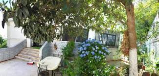immobilier annaba annonces