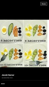 Baby Led Weaning Size To Age Chart Baby Food Recipes Baby