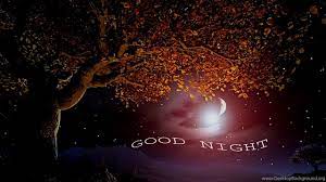 Good Night Wallpapers Free Download For ...