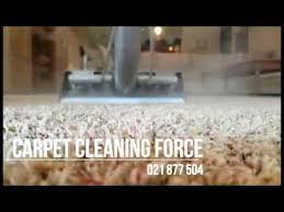 5 professional carpet cleaning methods