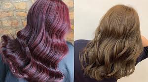 View current promotions and reviews of purple hair dye and get free shipping at $35. 12 Gorgeous Hair Colours For Dark Hair That Don T Require Bleaching The Singapore Women S Weekly