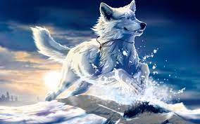 anime white wolf wallpapers wallpaper
