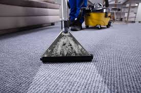 how often should you clean your carpet