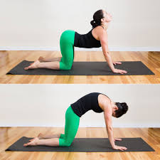 The arching cow pose coincides with the inhale, while the rounded marjariasana, or the cat stretch, incorporates the excellent feline stretch in the yoga workout. Cat Cow Pose 14 Yoga Poses That Promise Soothing Relief If You Re Hunched Over A Computer All Day Popsugar Fitness Photo 3