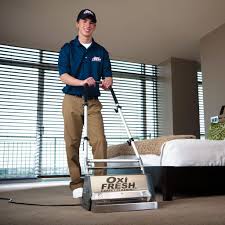 carpet cleaning in columbus oh find
